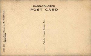 Arrowhead Lake California CA Pristine Water View c1910 Vintage Postcard