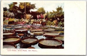 Lily Pond Como Park Saint Paul Minnesota MN Flowers Backdrop Attraction Postcard