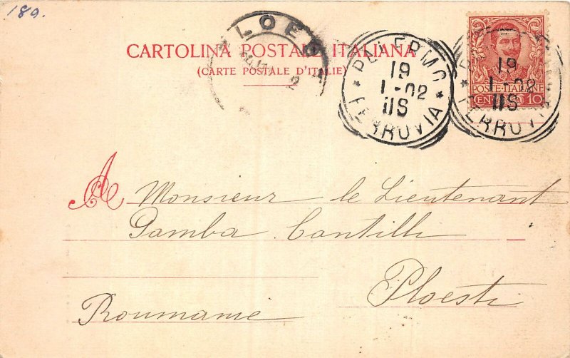 Lot 82 italy botanical garden avenue of palm trees palermo sent to Ploiesti