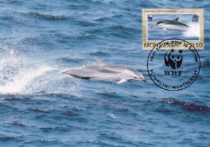 Striped Spanish Dolphin Montserrat WWF FDC Stamp Rare Postcard