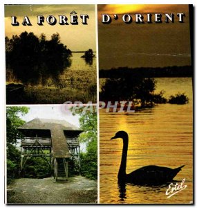 Modern Postcard La Foret d'Orient