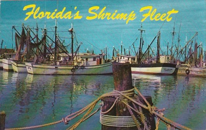 Florida The Shrimp Fleet 1969