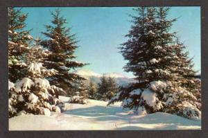 ME Greetings from JACKMAN MAINE Postcard PC Snow