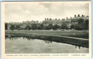 CAMBRIDGE, MA  Standish & Gore Halls HARVARD UNIVERSITY Albertype Postcard