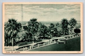 Plaza Ajo  Arizona   Curt Teich Company  Sample  Postcard