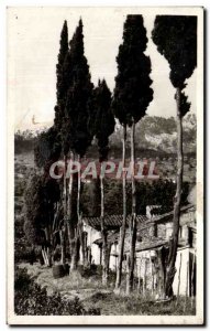 Old Postcard Provencal Landscape Collection La Cote d & # 39Azur