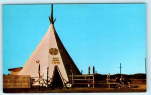 BLACK HILLS, South Dakota SD ~ World's Largest TEEPEE Roadside c1960s  Postcard 