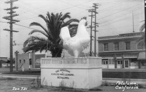 RPPC PETALUMA, CA Giant Chicken Roadside Zan Photo c1940s Vintage Postcard