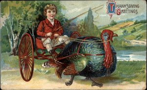 Thanksgiving Fantasy Little Boy in Cart Pulled by Turkey c1910 Postcard