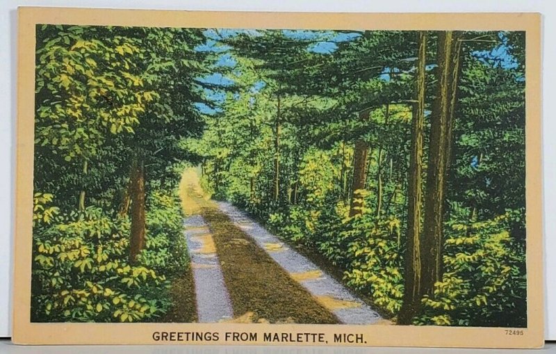Marlette Michigan Greetings Wooded Scenic View to Ypsilanti Mich