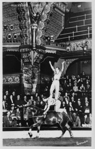 Blackpool Tower Circus Horse Rodeo Riders Old Real Photo Postcard