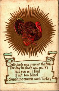 Turkey Sunburst Scroll Poem Embossed Gilt Thanksgiving 1910s DB Postcard Rose Co