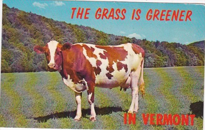 Vermont The Grass Is Greener 1968