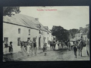 Ceredigion TALSARN & THE RED LION INN c1912 Postcard by Llew: O. Davis (Local)