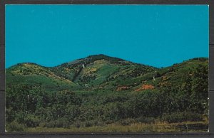 Utah, Monticello - Fall Scene Of The Abajo Mountain- [UT-001]