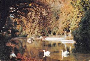 uk33994 bonchurch pond isle of wight uk