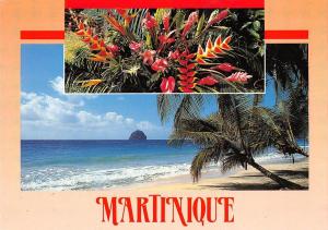 BT7780 martinique plaisirs des tropiques         France