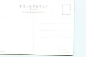 Postcard China Nine Dragon Cypress Tree Families And School Children   # 2776A 