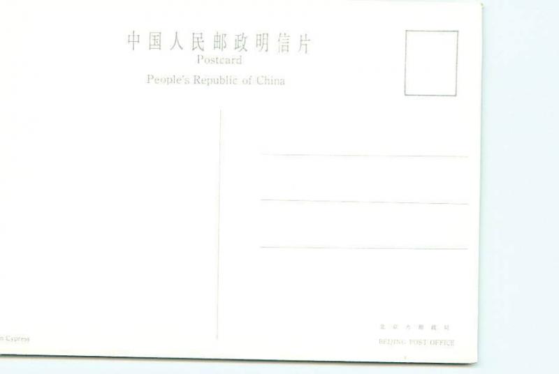 Postcard China Nine Dragon Cypress Tree Families And School Children   # 2776A 