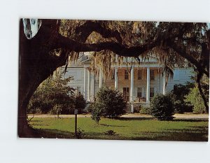 Postcard Hampton Plantation, McClellanville, South Carolina
