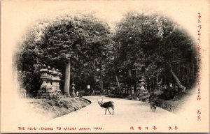 Road Leading to Kasuga Jinsha, Nara Japan Vintage Postcard T77