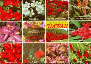 Hawaii Flowers Hibiscus Orchids Anthurium Plumeria Ginger & More 1974