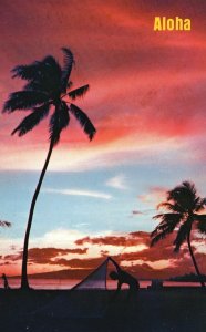 Vintage Postcard Aloha Palm Trees Sunset Breeze Visitors Delight in Hawaii HI 