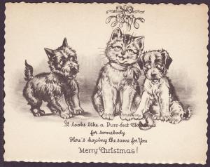 Dog unused postal card