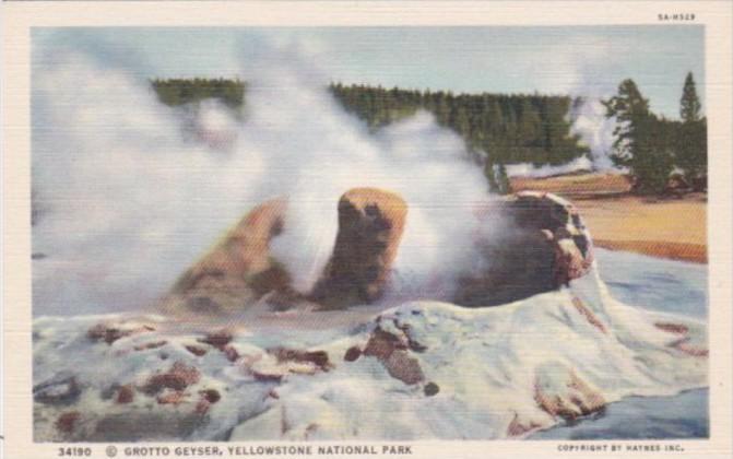 Grotto Geyser Yellowstone National Park Curteich