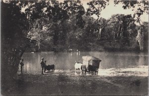 Sri Lanka Ceylon Padda Boats Ratnapura Vintage Postcard C068