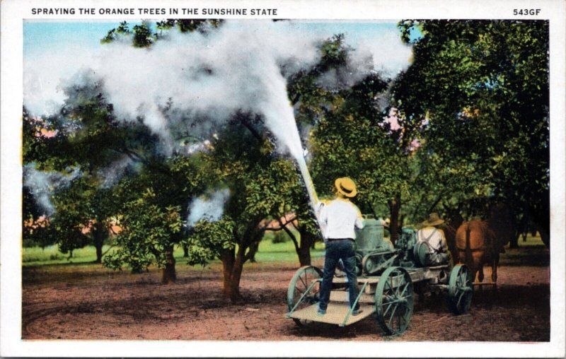 Postcard FL - Spraying the Orange Trees in the Sunshine State
