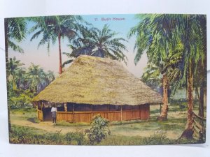 Bush House Lagos Nigeria Vintage Postcard CMS Bookshop Early 1900s