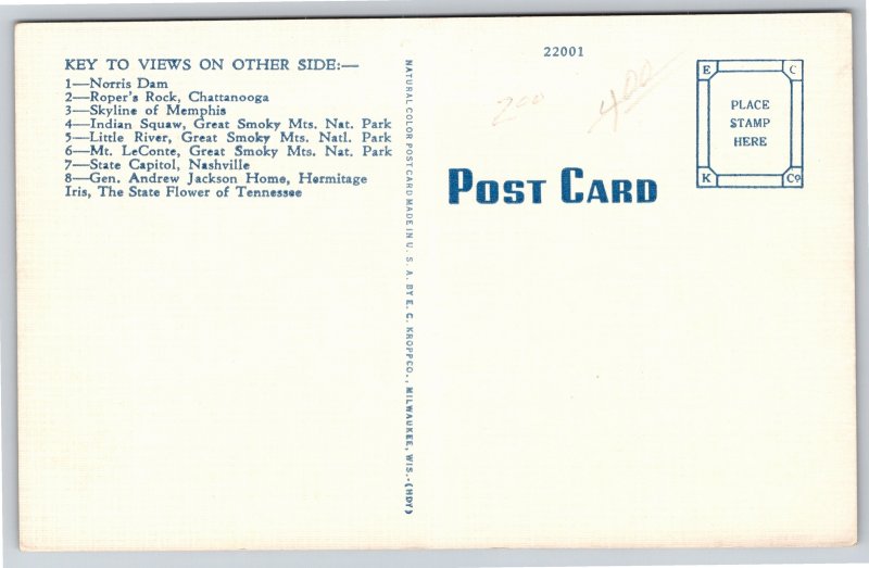 Tennessee State Map Multi-View~Norris Dam~Chattanooga~Nashville~Vintage Linen PC