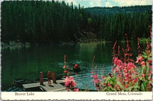 VINTAGE CONTINENTAL SIZE POSTCARD BEAVER LAKE AT MESA LAKE RESORT COLORADO