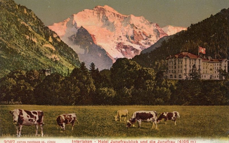 Interlaken Regina Hotel Jungfraublick die Jungfrau Old Swiss Postcard