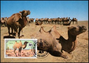 Mongolia - Maximum card WWF Camel 1985 (1)