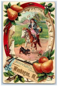 Waukegan Illinois Postcard Souvenir Horse Girl Pears Dog c1911 Vintage Antique