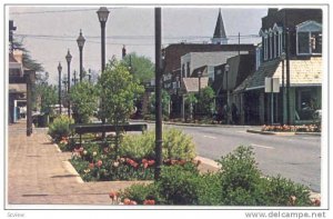 Street View in Perry,Georgia, 40-60s