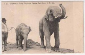 PC Mom & Baby Elephants @ Central Park Zoo New York