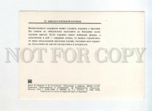525605 USSR 1976 year Moscow VDNKh pavilion floriculture and landscaping