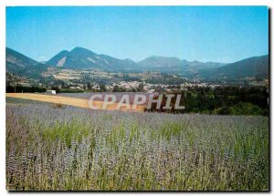 Postcard Modern Dieulefit (Drome) General view and Lavender Fields