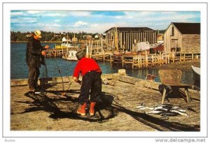 Men With A Fishing Net, Fishing, Eastern Shore, Nova Scotia, Canada, 1940-1960s