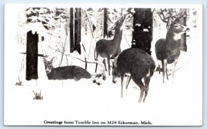 RPPC ECKERMAN, Michigan MI ~ Greetings from TUMLBLE INN Deer 1930s Postcard