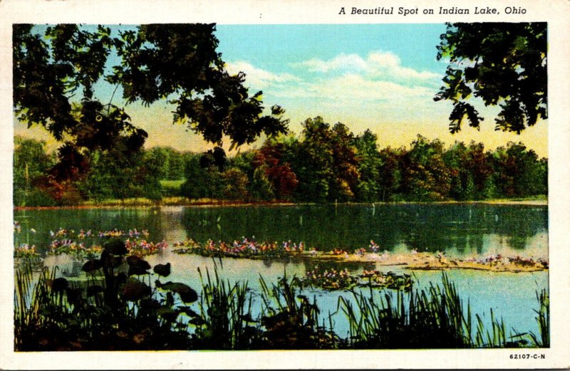 Ohio Indian Lake Beautiful Spot 1948 Curteich