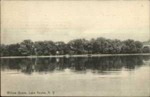 Lake Keuka NY Wilow Grove c1910 Rotograph Postcard