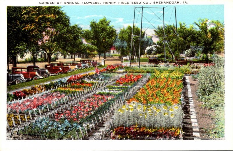 Iowa Shenandoah Henry Field Seed Company Garden Of Annual Flowers