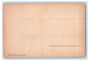 c1910s Eingang Zum Schlob Lichtenwalde Niederwiesa, Germany Postcard 