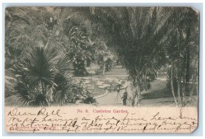 c1905 Taking Photos at Castleton Garden Jamaica Antique Posted Postcard