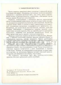 153174 Snake Underwing moth Mantodea mackerel Old Russian PC