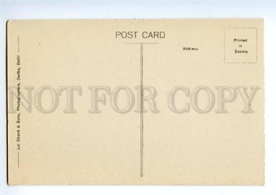 147309 INDIA KASAULI Hill Monkey point Vintage postcard